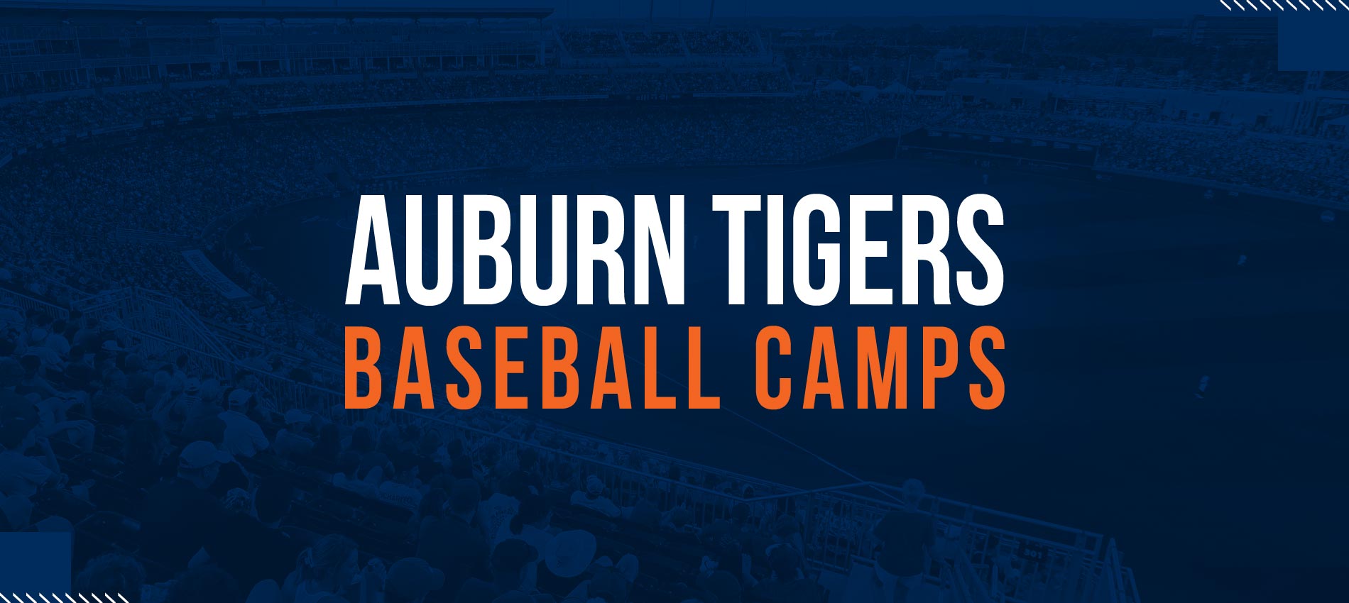 Auburn Tigers Baseball Camps