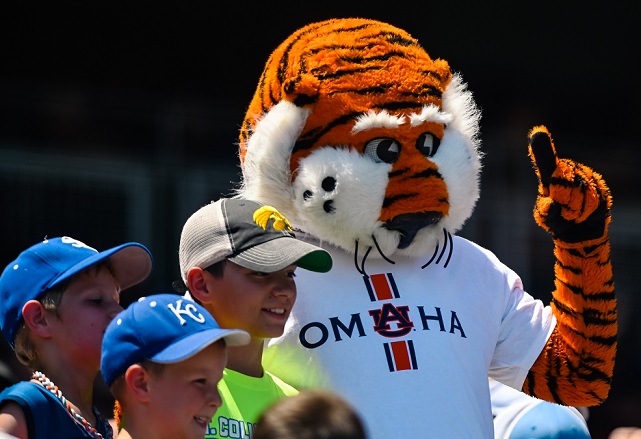 Auburn Mascot