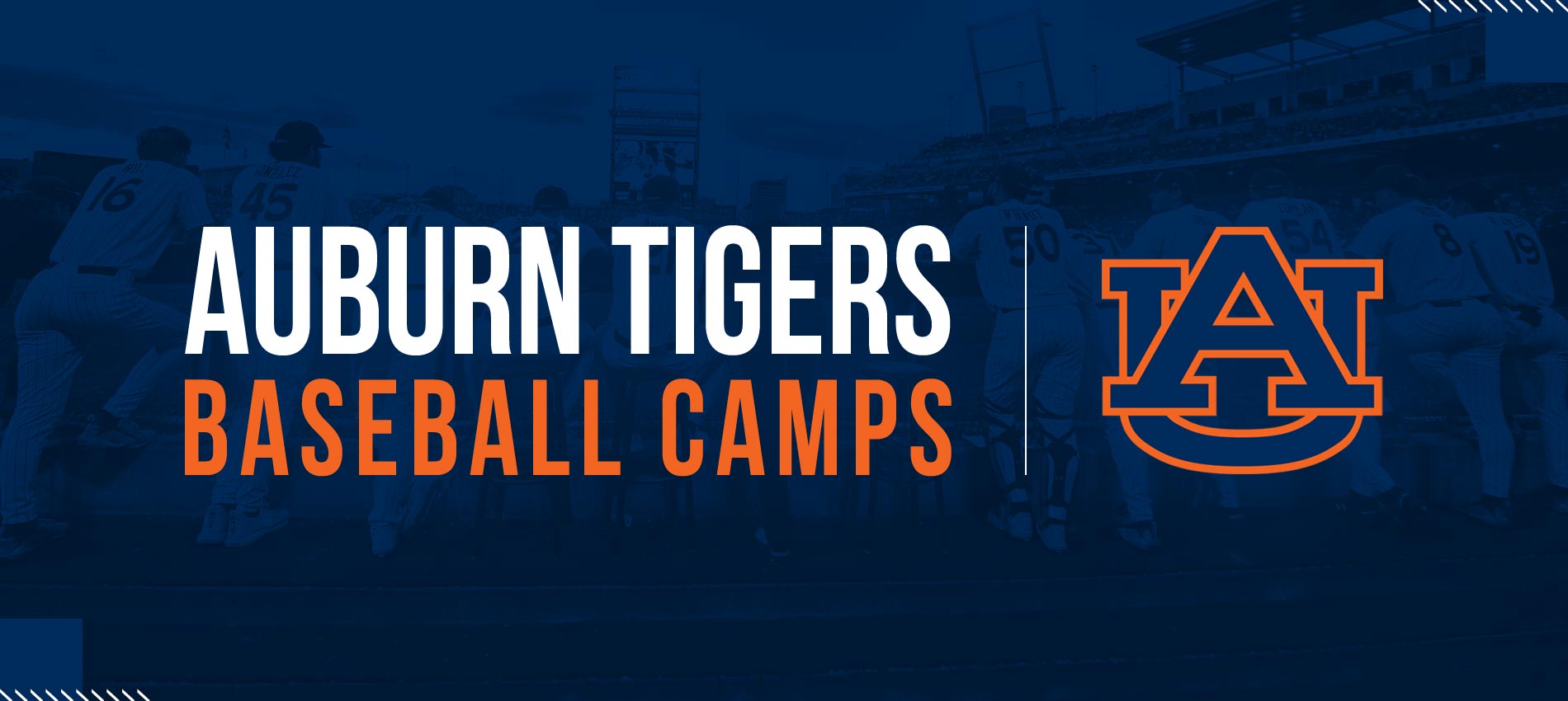 Auburn Tigers Baseball Camps at Auburn University